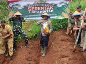 Sukseskan Ketahanan Pangan, Polisi Tanam Jagung 1 Juta Hektare