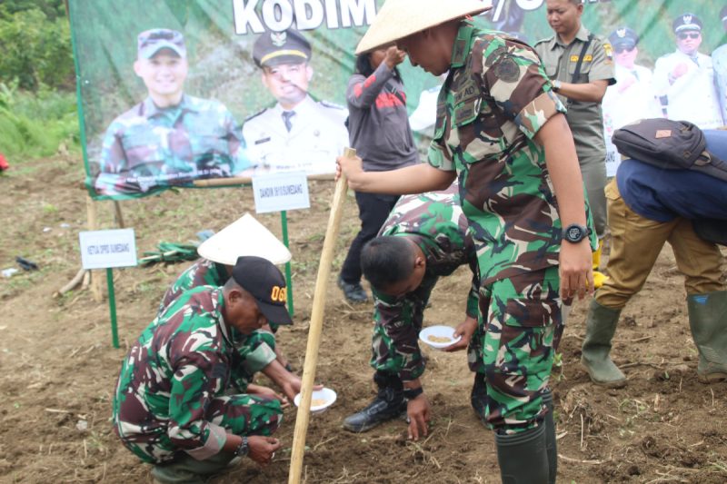 TNI-Polri Gabung Petani Sumedang Tanam Padi Gogo, Wujudkan Ketahanan Pangan